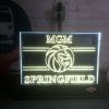 LED Illuminated Displays